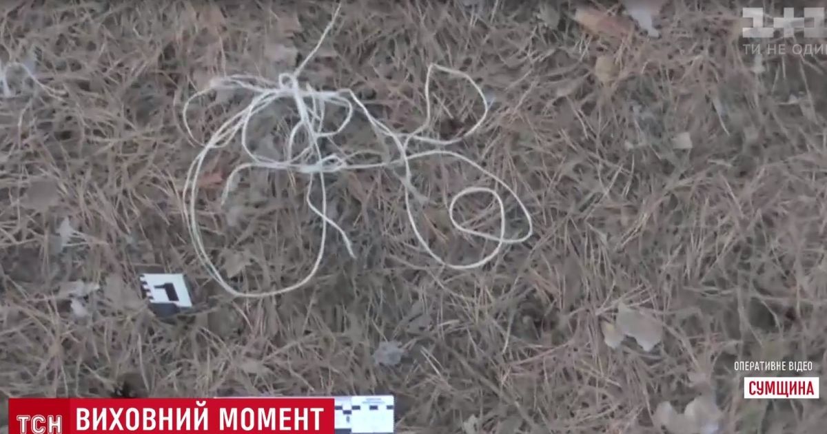 На Сумщині няня прив'язала 7-річну дитину до дерева в лісі біля кладовища