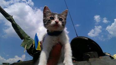 Наименьшие боевые побратимы / © facebook.com/theministryofdefence.ua