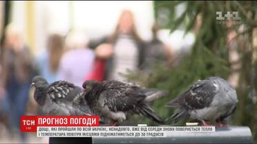До снега еще далеко. Синоптики рассказали о погоде на неделю