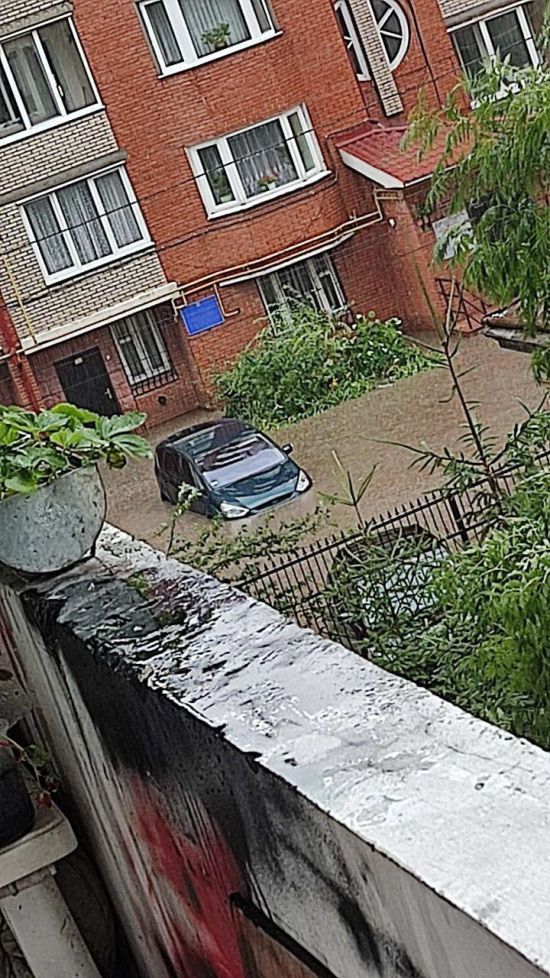 Тернопіль накрила потужна злива: вулиці пішли під воду, вітер ламав гілля (фото)