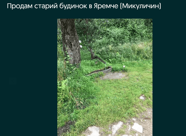 Будинок у Микуличині / © OLX