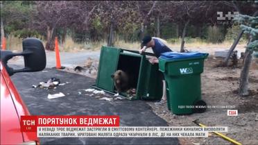 Искали пищу и застряли в мусорном контейнере. В Неваде трое медвежат совершили рейд по помойкам