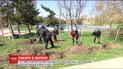 В Україна на честь року Японії посадять близько 2,5 тисяч сакур