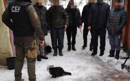 Имеет право на анонимность: украинцы с юмором отреагировали на заблюренного кота с фото обысков в УПЦ (МП)