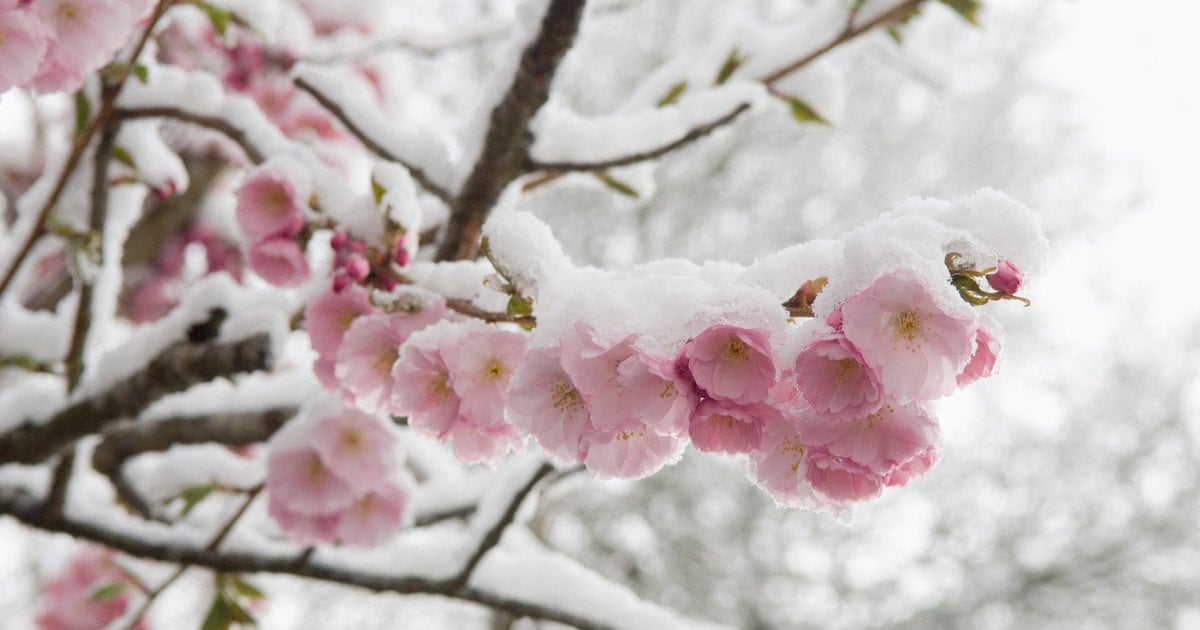 Синоптики рассказали, какой будет погода в Украине в ближайшие дни