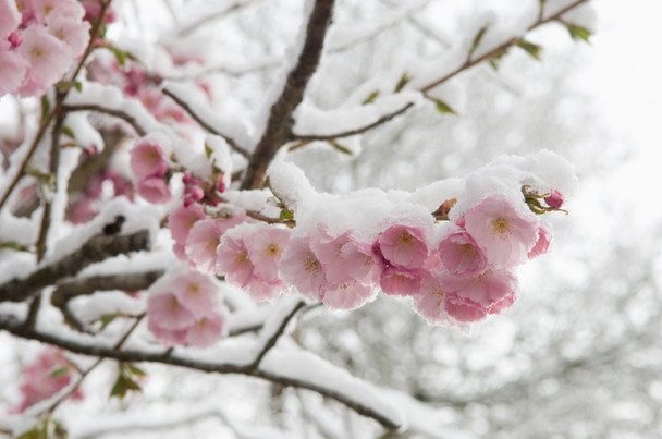 Україну накриють нова хвиля холоднечі, сніг та "мінуси": синоптики попередили про небезпечний удар стихії