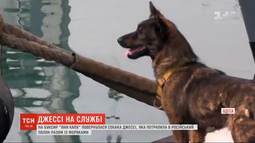 Собака Джесси вернулась в свою военно-морскую семью на буксир "Яны Капу"