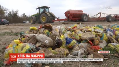 Біля траси "Київ-Чоп" невідомі викинули сотні буханців хліба