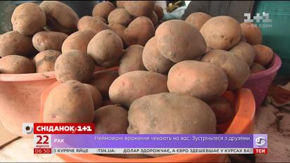 В Україні впали ціни на картоплю