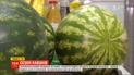 С нитратами или без: сезон херсонских арбузов официально открыт
