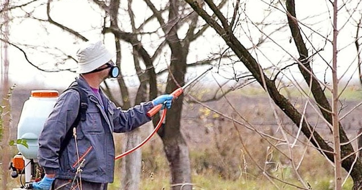 Обробка саду навесні