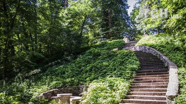 дендропарк олександрія _7 / © фото: Юлія Желонкіна