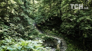 дендропарк олександрія _6 / © фото: Юлія Желонкіна