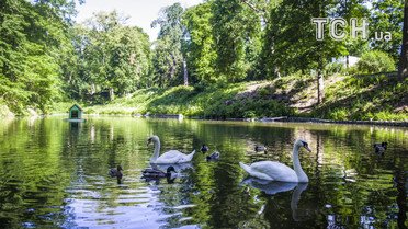 дендропарк олександрія _4 / © фото: Юлія Желонкіна