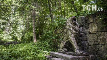 дендропарк олександрія _5 / © фото: Юлія Желонкіна