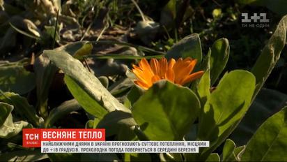 Березень буде аномально теплим - синоптики