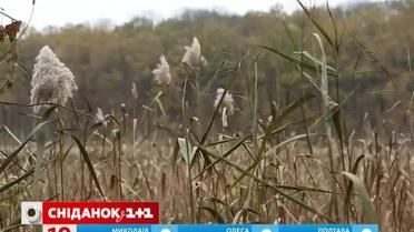 Мой путеводитель. Кировоградщина - мистический Черный лес и Кременчугское водохранилище