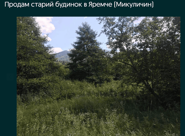 Будинок у Микуличині / © OLX