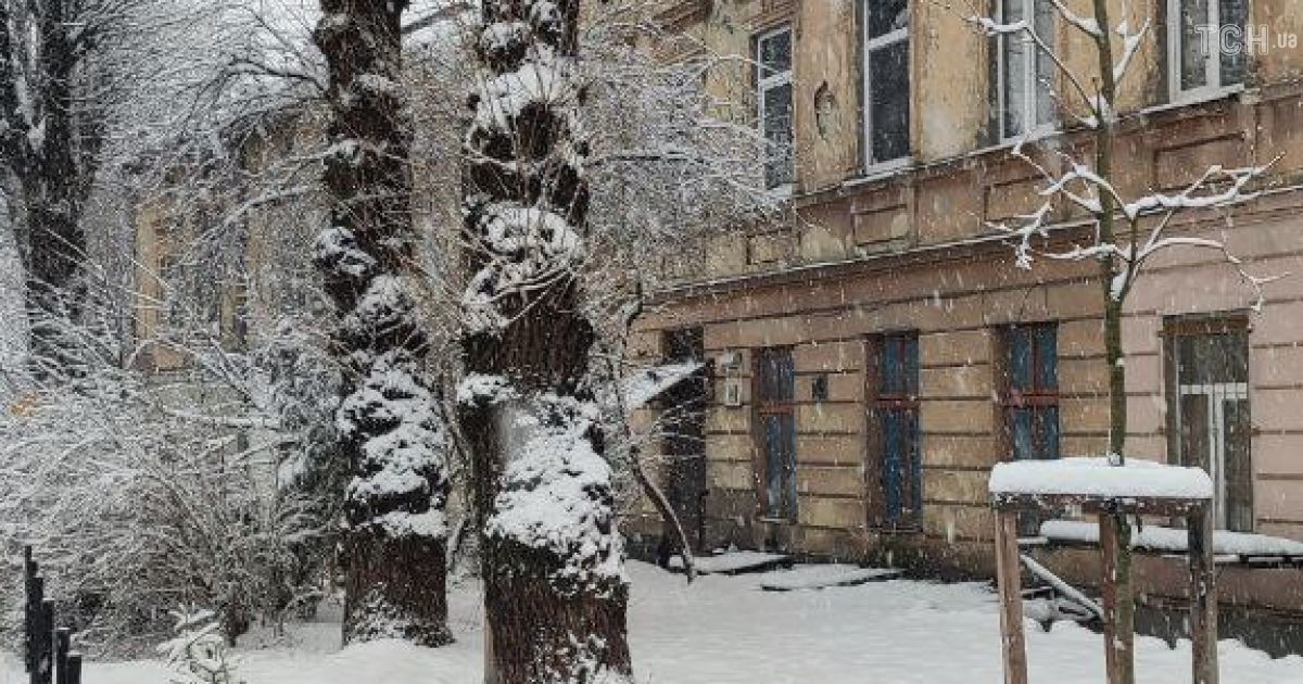 сніг у Львові / © ТСН.ua