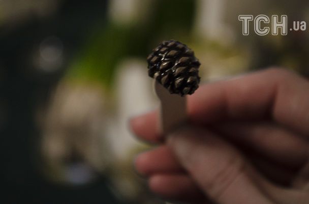 Варення із шишок. Фото - Юлія Желонкіна
