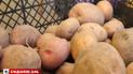 В Украине поползли вверх цены на картофель: какая сейчас ее стоимость
