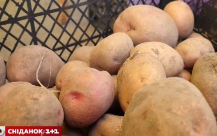 В Украине падают цены на картофель