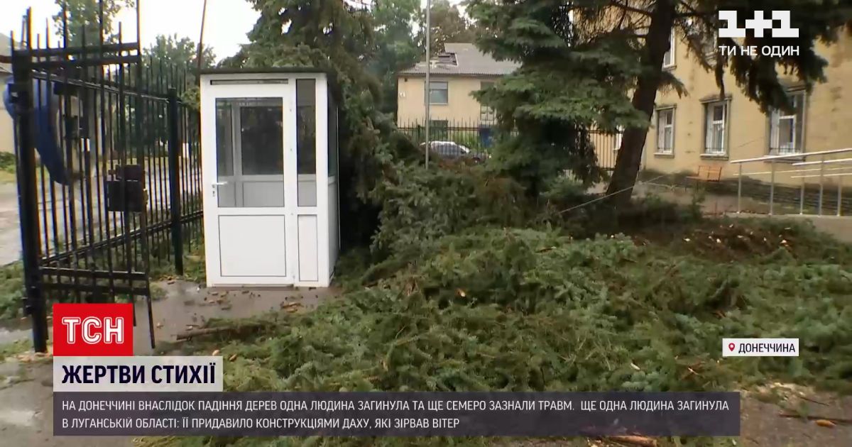 Новости Украины: из-за непогоды на Донбассе погибли два человека