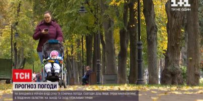 Погода в Украине: на Западе и Востоке синоптики прогнозируют туман