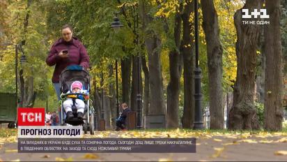 Погода в Украине: на Западе и Востоке синоптики прогнозируют туман