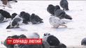 В Украине прогнозируют самую холодную ночь за всю зиму