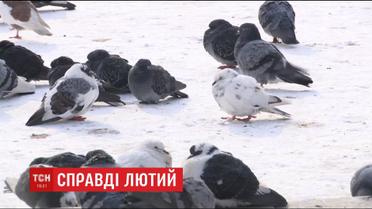 В Україні прогнозують найхолоднішу ніч за всю зиму