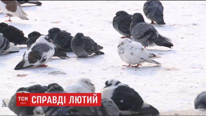 В Украине прогнозируют самую холодную ночь за всю зиму