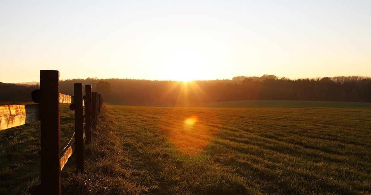 Земельная ділянка
