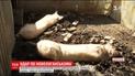 В Новолуганском несколько вражеских снарядов попали в жилые дома и газопровод