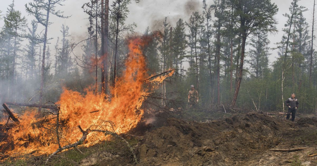 Пожежа в Росії в Якутії, Якутія_6 / © Associated Press