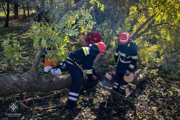 Nell'oblast di Khmelnytskyi, un albero ha ucciso un uomo a causa di un forte vento. / © Dipartimento principale del servizio statale di emergenza dell'Ucraina nell'oblast di Khmelnytskyi