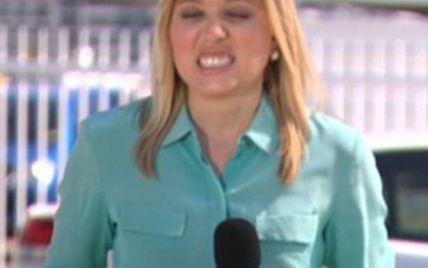 Американская журналистка выругалась в прямом эфире из-за укуса ядовитого муравья-быка (видео)