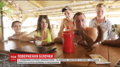 Білочку-втікачку Боню знайшли в барі серед пляшок