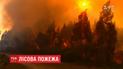 Огонь от лесных пожаров в Испании приблизился к автодорогам и домам