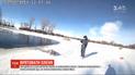 Американские полицейские вытащили оленя из замерзшего озера