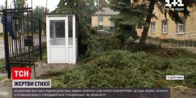 Новини України: через негоду на Донбасі загинули двоє людей