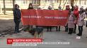 У Києві підлітки прив’язали петарду під хвоста собаці й підпалили