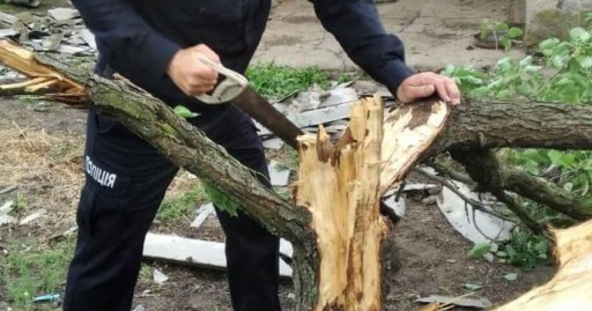 Торнадо Херсонщина_4 / © ГУ Национальной полиции в Херсонской области