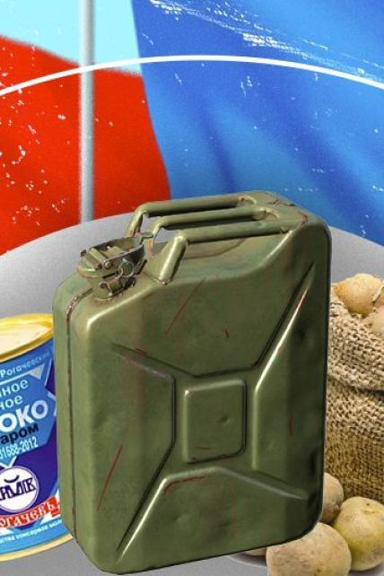 Санкції проти Білорусі: чи зостанеться бензин на заправках та які продукти зникнуть