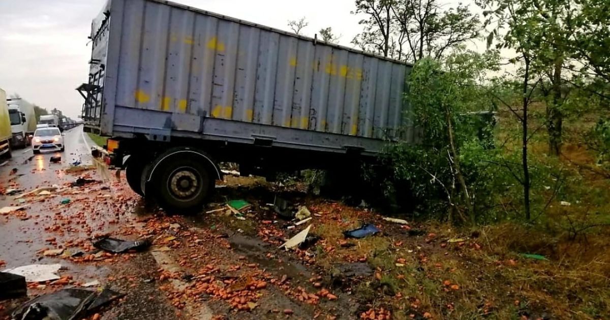 дтп миколаївська область_1 / © ГУ Нацполіції в Миколаївській області