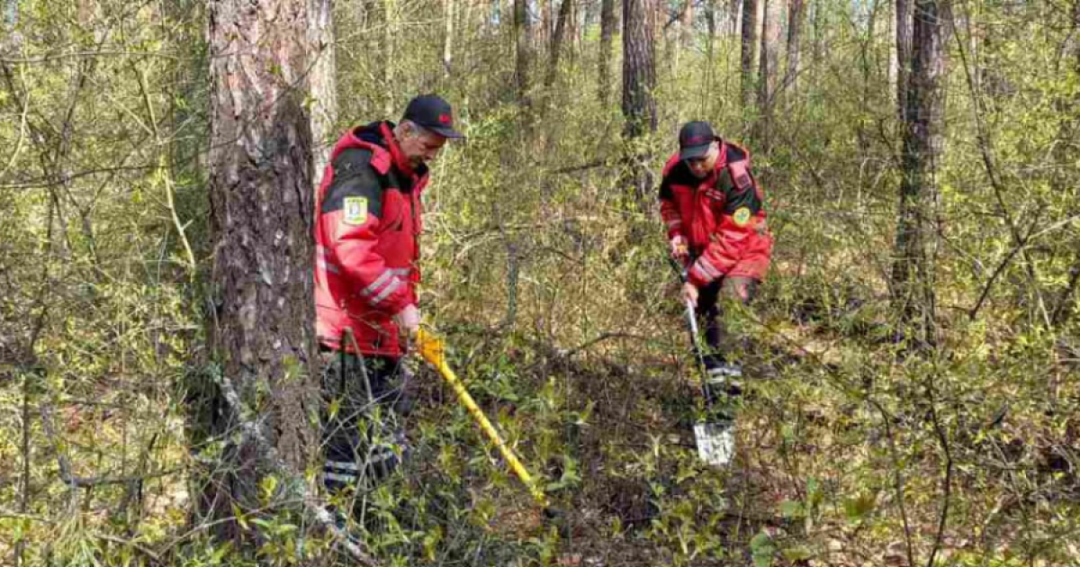 У Києві виялено частину реактивного снаряду на території Межигірського лісництва
