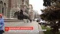 Рада может рассмотреть вопрос - вернут ли прежним владельцам национализированные банки
