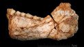 Вчені знайшли у Марокко найстаріші останки Homo sapiens