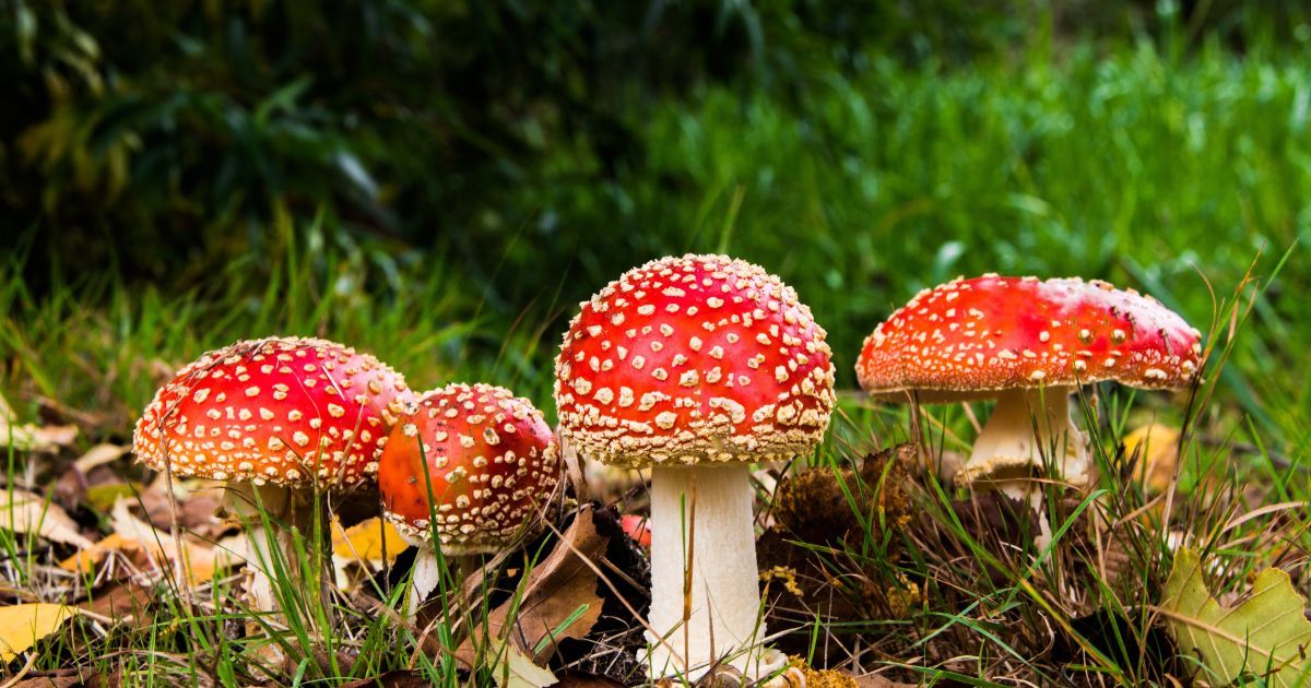 10 вересня: цікаві звичаї, обряди та народний прогностик