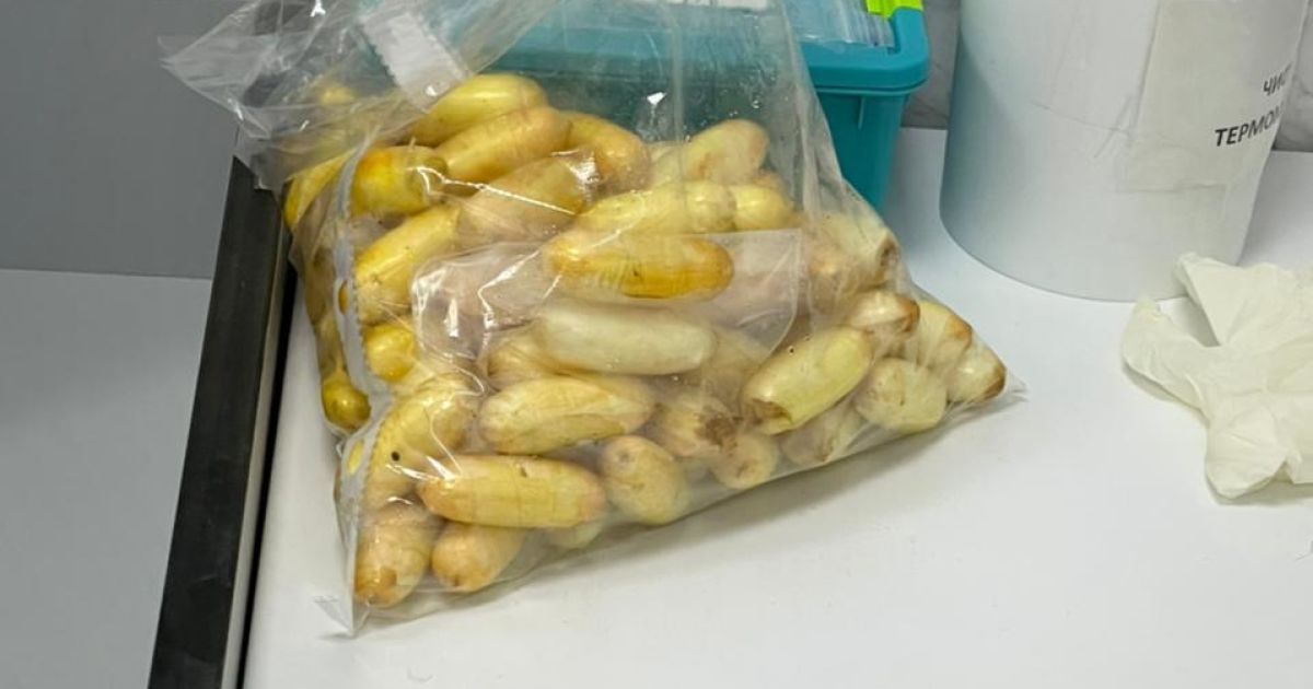 Кокаїн у кишківнику, Бориспіль_3 / © МВД